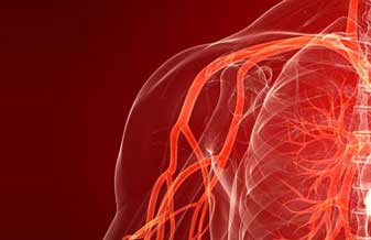 Instituto de Angiologia e Cirurgia Vascular José Siqueira - Foto 1