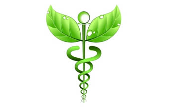 Clínica de Medicina Chinesa e Fisioterapia - Foto 1