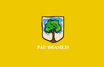 Pau Brasilis - Foto 1
