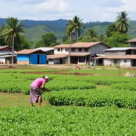 agricultura familiar da Bahia