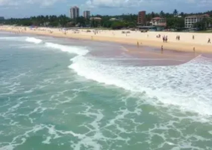 Últimas noticias de Salvador