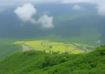 emergência ambiental