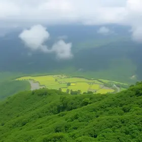 emergência ambiental