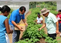 Governo da Bahia apoia creches comunitárias
