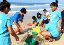 mutirão de limpeza de praia