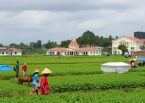 Feira Estadual da Reforma Agrária