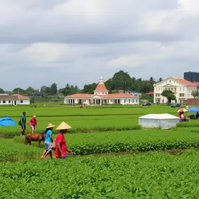 Feira Estadual da Reforma Agrária