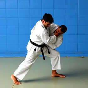 aulas gratuitas de judô